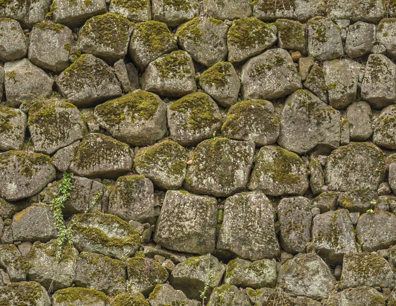 BrickJapanese0018 Free Background Texture castle wall old medieval japanese moss mossy brick
